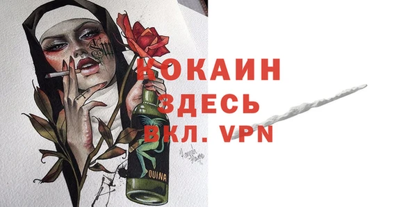 PSILOCYBIN Ельня