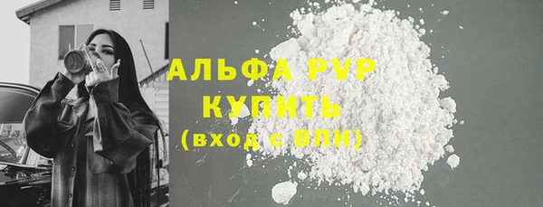 гашик Дмитриев
