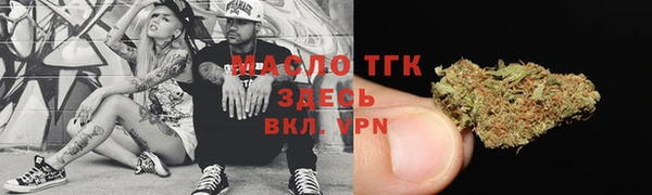 твердый Дмитров