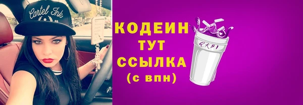 твердый Дмитров