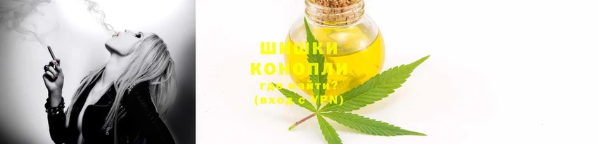PSILOCYBIN Елабуга