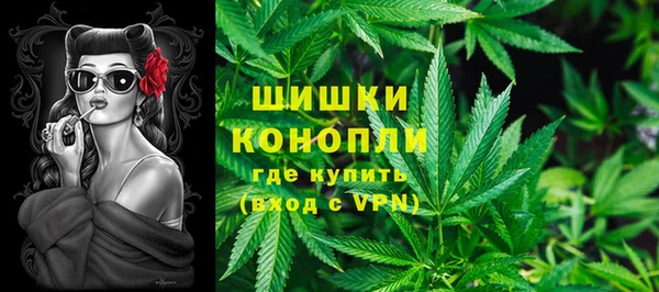 гашик Дмитриев