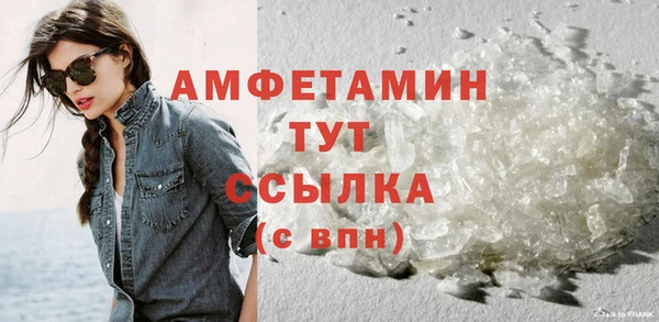 гашик Дмитриев