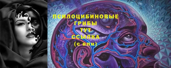 гашик Дмитриев