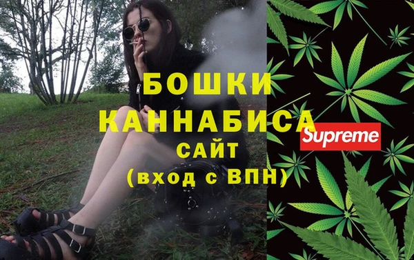 PSILOCYBIN Елабуга