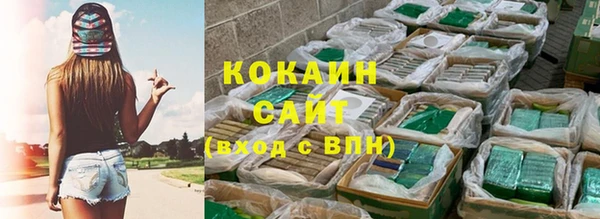 PSILOCYBIN Ельня
