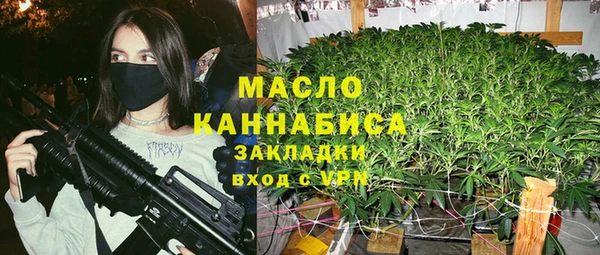 PSILOCYBIN Ельня