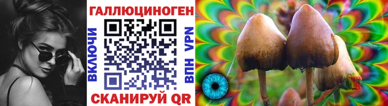 Купить где  Сосновоборск  Псилоцибиновые грибы мицелий 